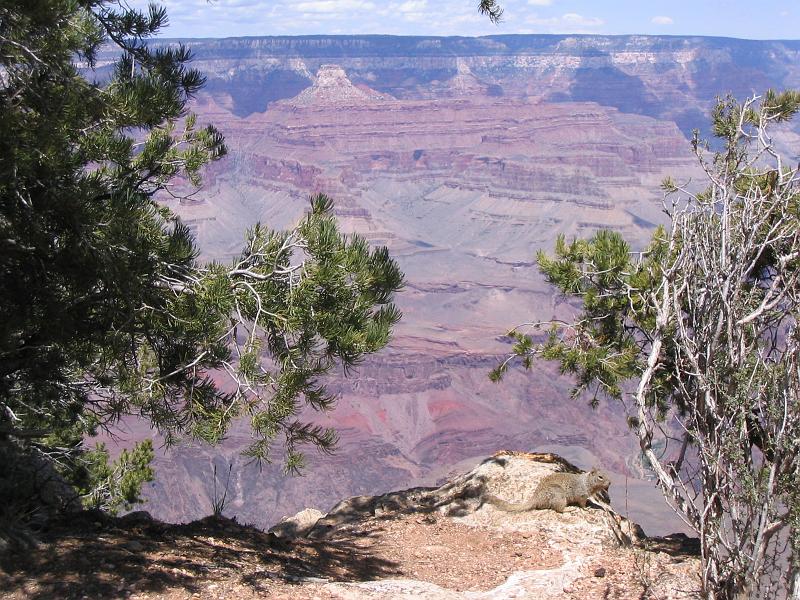 Grand Canyon (40).JPG